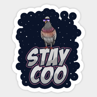 Stay Coo Funny Cool Pigeon Sticker